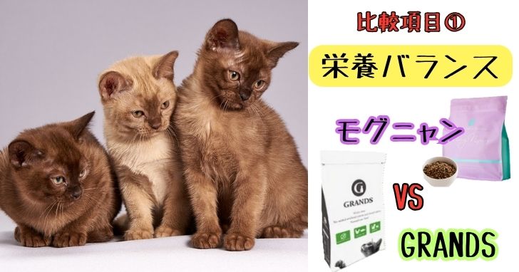 モグニャンとグランツ(GRANDS)の違いって何?4つの項目からペットフードアドバイザーが徹底比較! | キャットフードの救世主