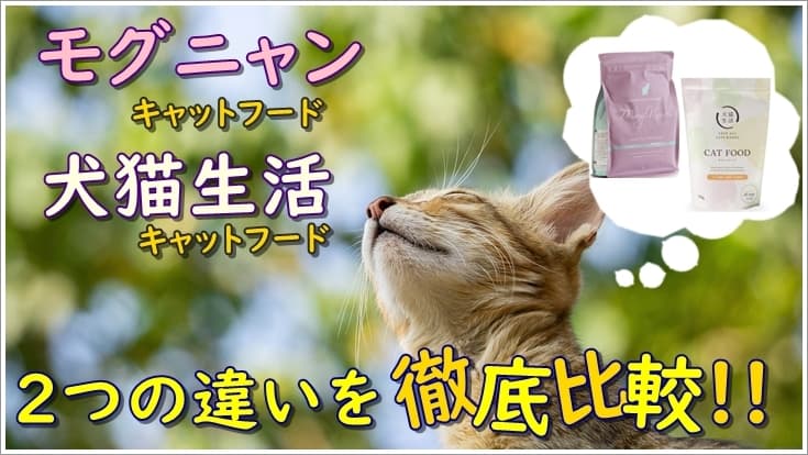 モグニャンと犬猫生活キャットフードの違いを4つの項目から徹底比較