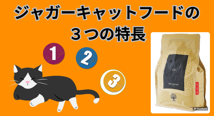 ジャガーキャットフードの3つの特徴