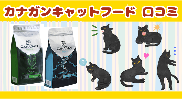 賞味期限:25/05/17] カナガン キャットフード 1.5kg × 3袋（Amazon 