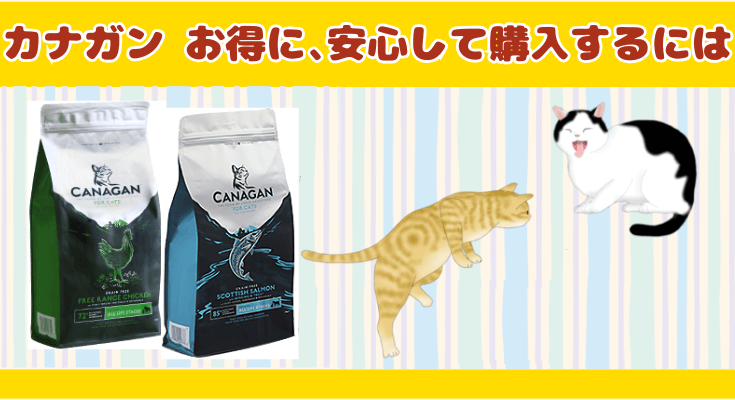 カナガンお得に安心して購入するには